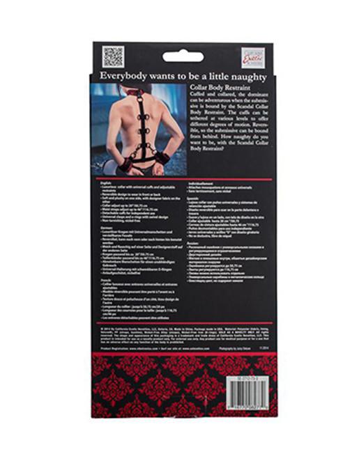 Scandal Body Collar Restraints Box Back
